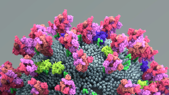 La proteína de pico coronavirus que media la entrada de coronavirus en la célula huésped photo