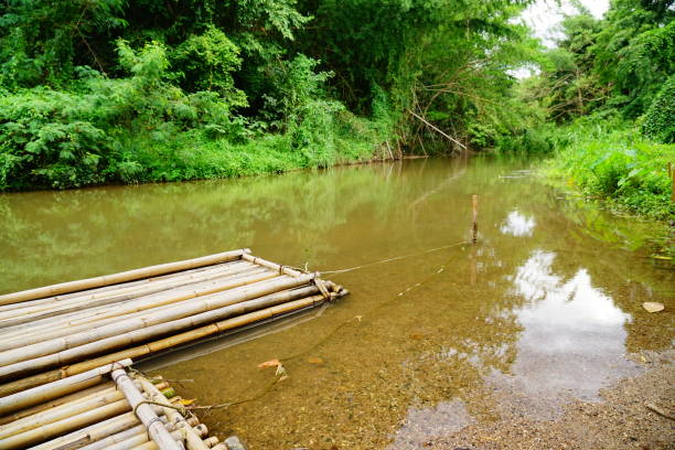 istock Bamboo raft on Small stream in the forest 1275246427