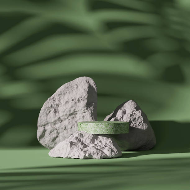 3D pedestal display and rock on monstera exotic palm leaf shadow. Green, pastel background with terrazzo stone podium showcase for beauty, cosmetics product. Abstract nature 3D render illustration
