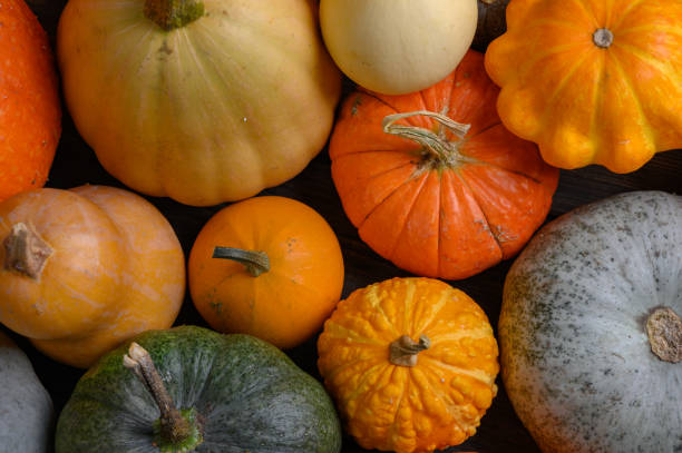 istock Autumn harvest colorful squashes and pumpkins in different varieties. 1275261230