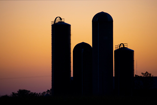 Beautiful and deeply symbolic silhouette of American family farm, barn, silo, before stunning dawn or dusk sky.