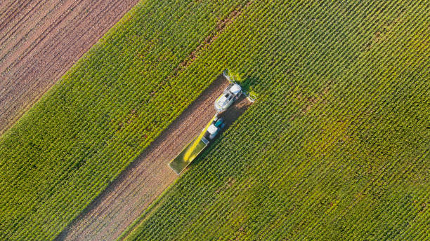 istock Aerial view of farm machines harvesting corn 1275280238