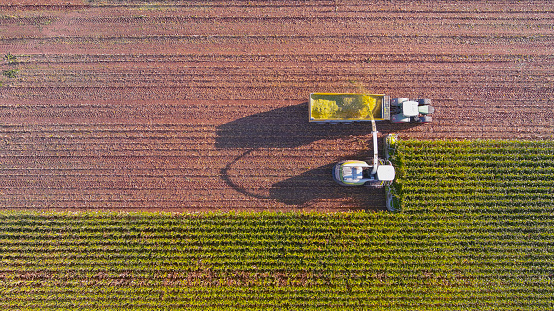 Aerial view of farm machines harvesting corn, full plant is used for ethanol or feed.