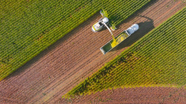 macchine agricole, mietitrebbia e semi-camion raccolta mais - e85 foto e immagini stock