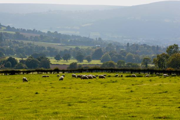 istock WALKS THROUGH THE BEAUTIFUL WELSH MOUNTAINS 1275282739