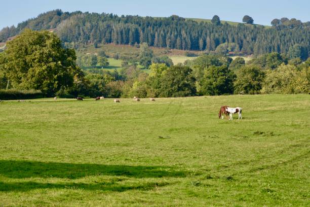 istock Welsh landscape from Brecon Beacons to Abergavenny 1275292016