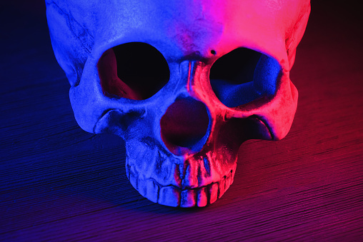 Human skull in the neon light on the table background.