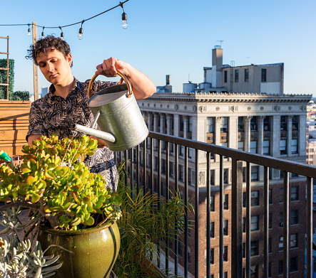 A man watering a succulent plant on the balcony of his apartment in Los Angeles.