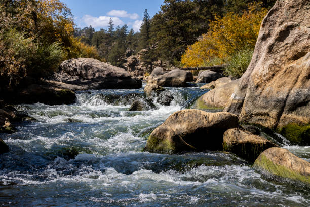 istock Autumn Color in Eleven Mile 1275297565