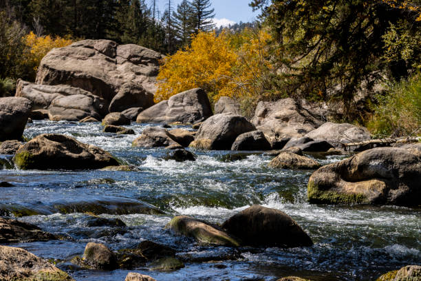 istock Autumn Color in Eleven Mile 1275304346