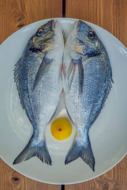 Mediterranean dorado fish. two fresh fish lie on a white plate