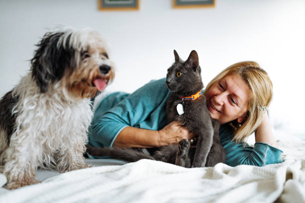 femme mûre avec le chat et le chien à la maison, étreignant et câlinant des animaux - dog domestic cat pets women photos et images de collection