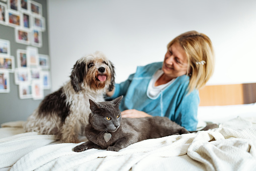 Mature woman with cat and dog at home