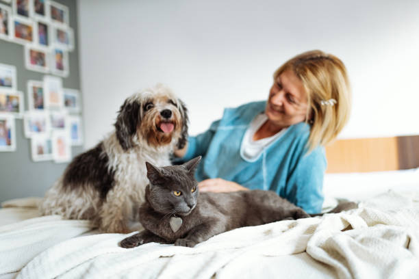 Mature Woman With Cat And Dog At Home Hugging And Cuddling Animals Stock  Photo - Download Image Now - iStock