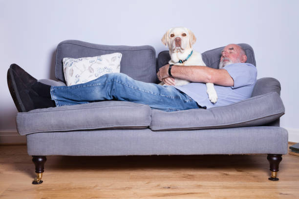 istock Sunday afternoon nap 1275375540