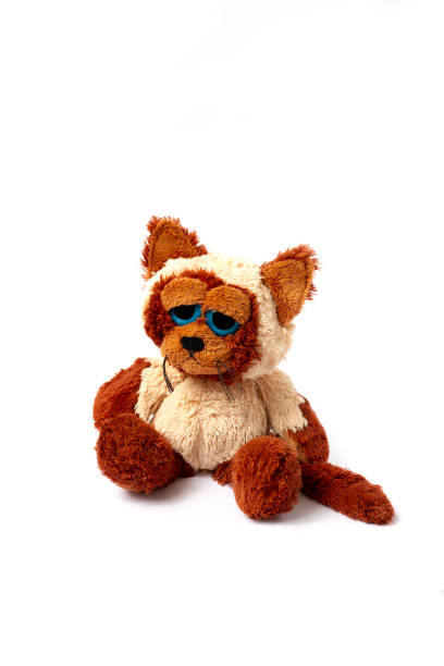 istock toy soft fluffy cat, with sad eyes, on a white background 1275403170