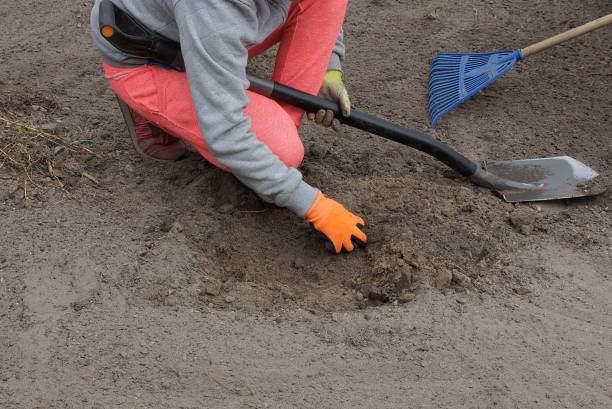 istock farmer with a shovel rakes the earth with his hand 1275407017