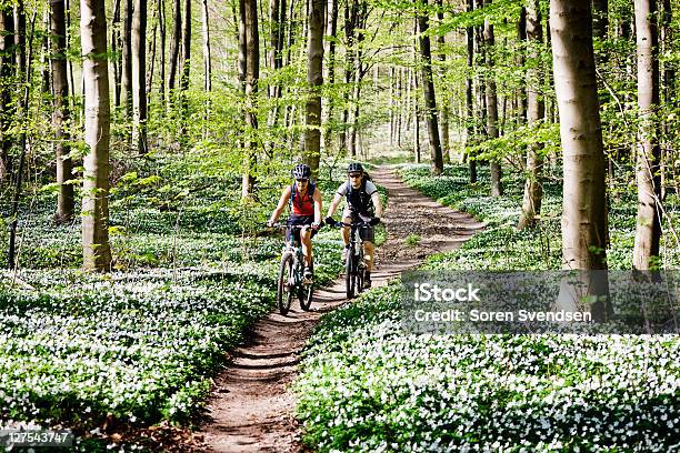 Par Ciclismo De Montaña Juntos Foto de stock y más banco de imágenes de Andar en bicicleta - Andar en bicicleta, Primavera - Estación, Bicicleta