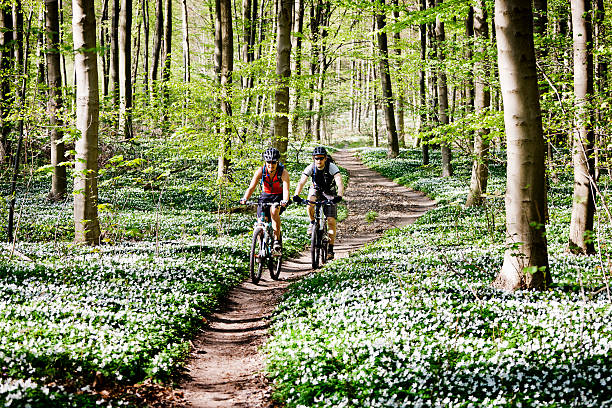 Couple mountain biking together  oresund region photos stock pictures, royalty-free photos & images