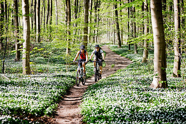 вместе пара езда на горных велосипедах - cycling bicycle forest nature стоковые фото и изображения