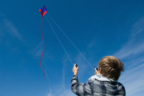 In a picturesque setting, a father and his young son revel in the freedom of kite flying, their spirits lifted by the experience.