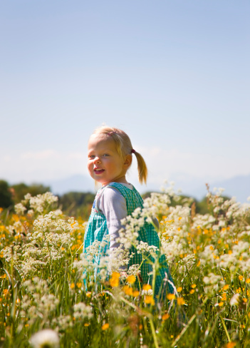Cute little girl in summer field. Happy girl walking in golden wheat, enjoying the life. Nature beauty, blue sky and field of wheat. Freedom concept.