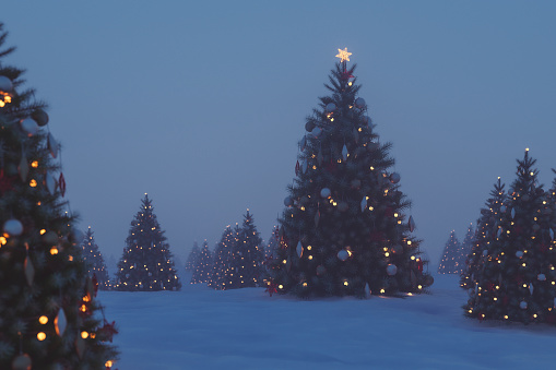 Outdoors Christmas trees at night. 3D generated image.