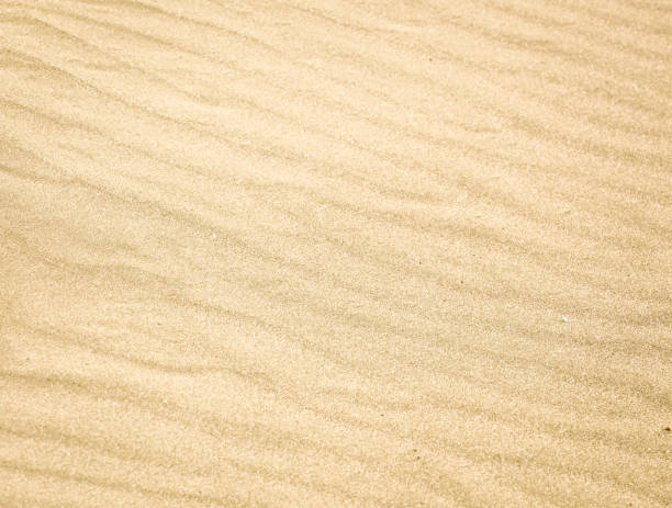 istock Photo Of Sand Background Texture 1275446646