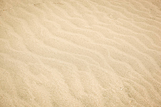 istock Photo Of Sand Background Texture 1275446699