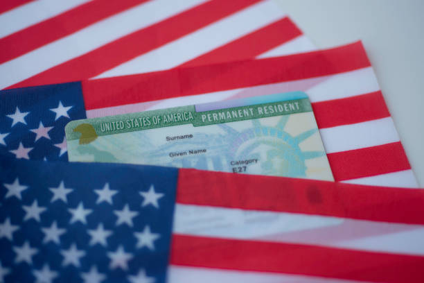 Permanent Resident Green card  of United states covered in flag of USA. stock photo