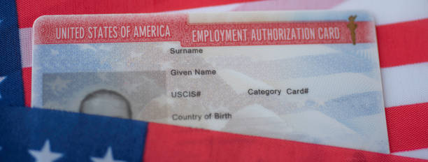 Employment Authorization card on USA Flag surface. Close up view. stock photo