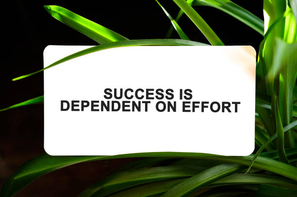 istock Success is dependent on effort text on white surrounded by green leaves 1275465949