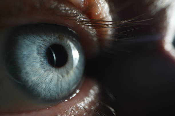 istock Close up of beautiful eye that looking on light 1275480126