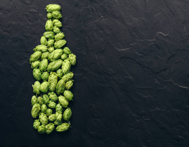 The shape of beer bottle, made of green hops cones, on black stone desk. Beer concept. Natural ingredients of brewery process- hops cones pattern in form of the shape of a beer bottle. Beer Fest idea board with copy space. craft beer photos stock pictures, royalty-free photos & images