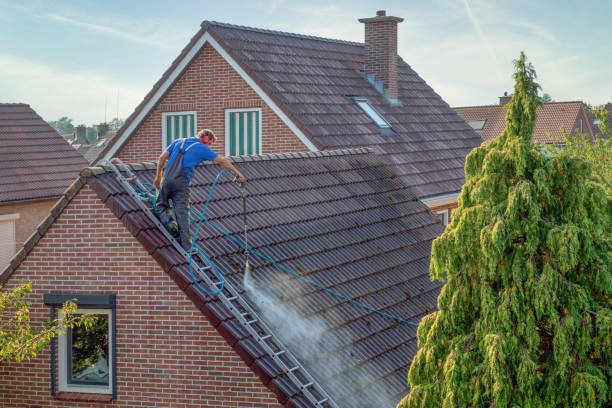 Cleaner with pressure washer at roof house cleaning roof tiles Urk, The netherlands - September 15, 2020: Cleaner with pressure washer at roof of house cleaning the roof tiles, removing moss and weed flevoland photos stock pictures, royalty-free photos & images