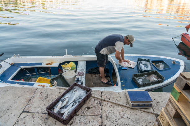 un pescatore sulla sua barca che smista i pesci in vendita - fishermen harbor foto e immagini stock
