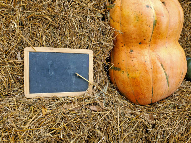 black chalkboard and pumpkin on hay bale