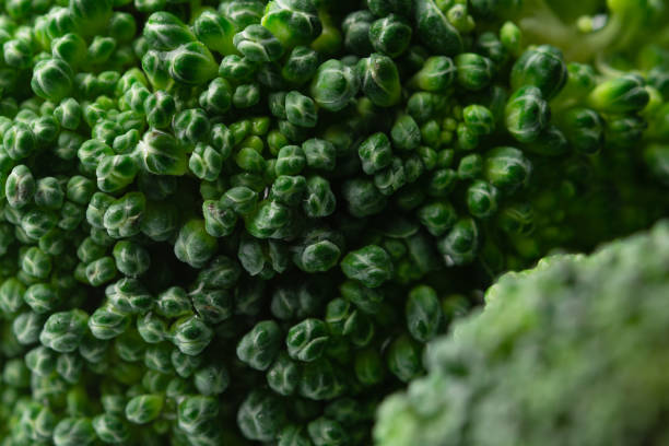 istock Fresh green broccoli on a white background. 1275507094