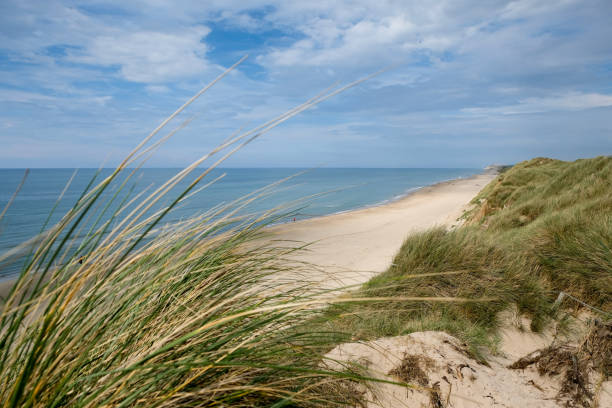 istock Beautiful coastline in northern Jutland 1275514646