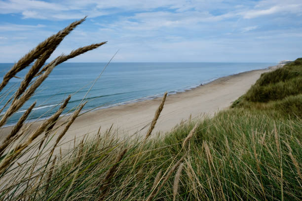 istock Beautiful coastline in northern Jutland 1275516077