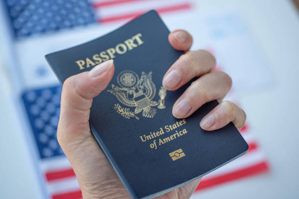 Female hand holding Passport of USA on blurred silver background. "n stock photo