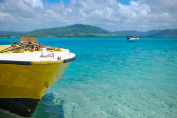 istock island with egrets on mauritius 1275544372