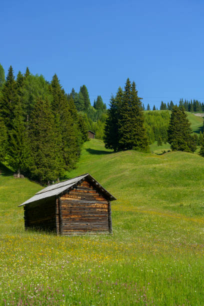 istock Mountain landscape along the road to Campolongo pass, Dolomites 1275551904