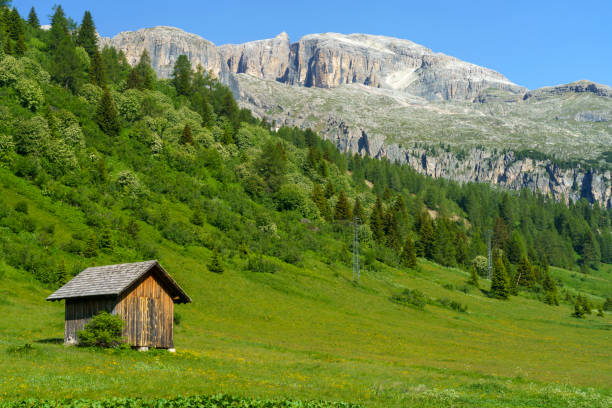 mountain landscape along the road to campolongo pass, dolomites - cordevole valley stock-fotos und bilder