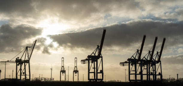 istock hamburg harbor cranes that look like giraffes, germany 1275563682