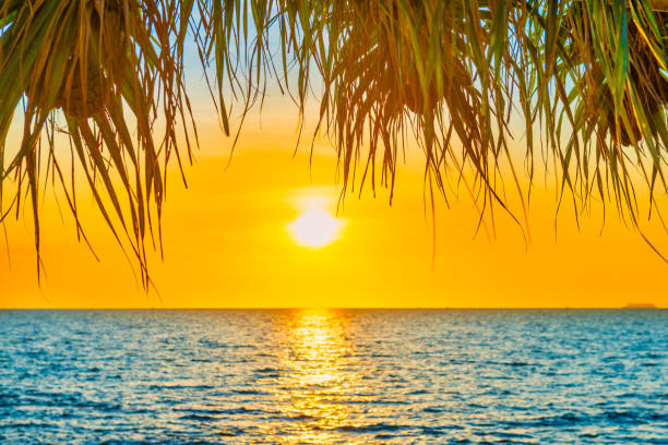 istock Sea beach sunset landscape 1275589742