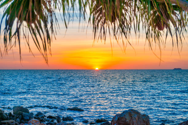 istock Sunset sun on sea and palm tree 1275590494