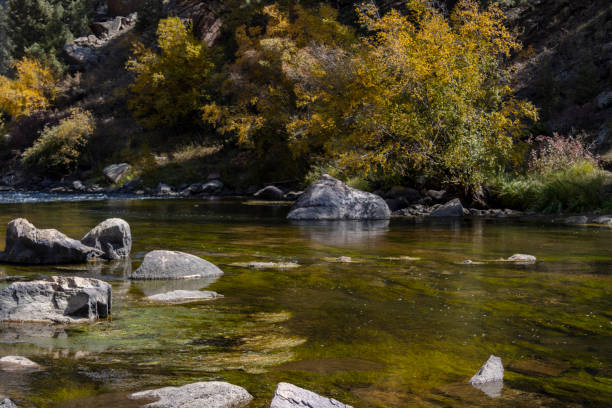istock Autumn Color in Eleven Mile 1275592753