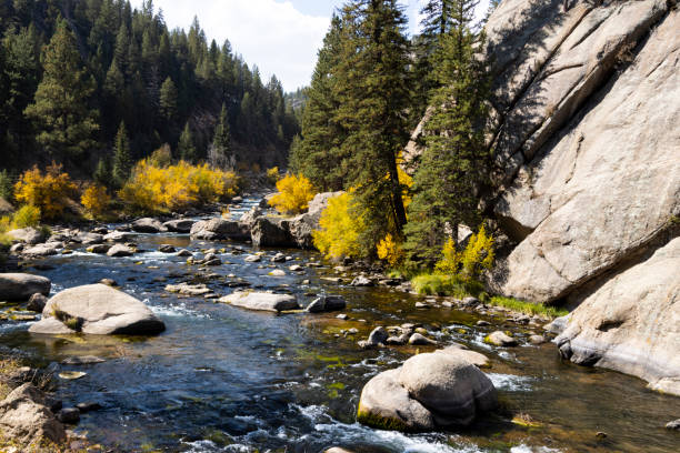 istock Autumn Color in Eleven Mile 1275596009