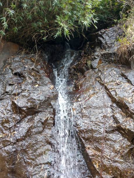 istock Small waterfalls from the rocks in western ghats forest range 1275600959
